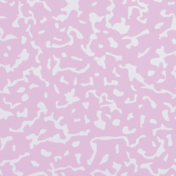  Fadeless Schoolgirl Style Bulletin Paper - Junior Year