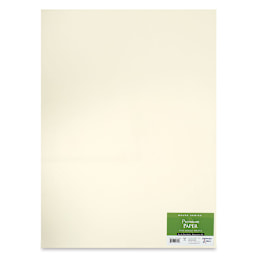 Stillman & Birn Delta Series Mixed Media Paper - Front view of package of 5 sheets
