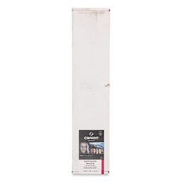 Canson Infinity PhotoSatin Art Paper - 24" x 100 ft, Premium Resin Coated, Roll