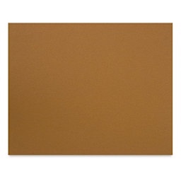 Canson Mi-Tientes Board - 16" x 20", Bisque, Sheet