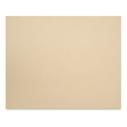 Canson Mi-Tientes Board - 16" x 20", Oyster, Sheet