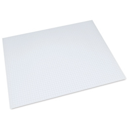 Pacon Ghostline Foam Board - 22" x 28", 3/16", Pkg of 5, single board
