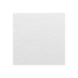 Canson Edition Art Board - Single sheet shown
