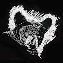 Scratch-Art Scratchboard