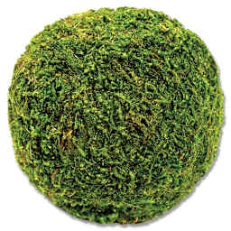 SuperMoss Moss Balls - Four inch diameter ball shown