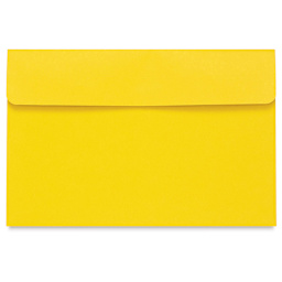 Star Products Student Art Folio - Yellow, 12'' x 18''