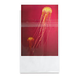 Lineco Photo Art Bag Pack - 5" x 7", Pkg of 50, print inside one bag (not included)