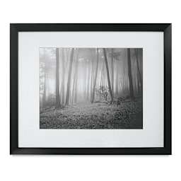 Blick Tempo Frame