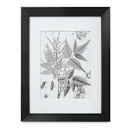 Blick Tempo Frame