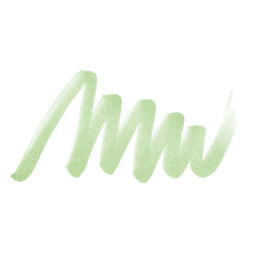 ShinHan Touch Twin Brush Marker - Pale Green GY59, swatch