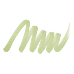 ShinHan Touch Twin Brush Marker - Willow Green swatch
