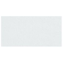 Caran d'Ache Neocolor II Aquarelle Artists' Pastel - White swatch
