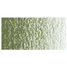 Caran d'Ache Neocolor II Aquarelle Artists' Pastel - Olive swatch