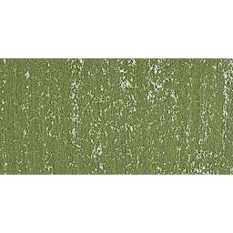 Townsend Artists' Soft Form Pastel - Sap Green 116L swatch
