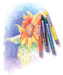 Set of 24