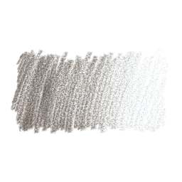 Faber-Castell Polychromos Pencil - Warm Gray IV swatch