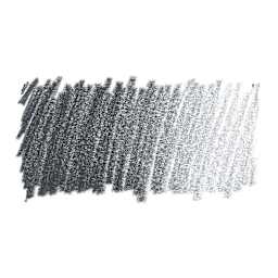 Faber-Castell Polychromos Pencil - Warm Gray VI swatch