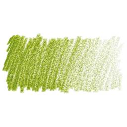 Faber-Castell Polychromos Pencil - May Green swatch