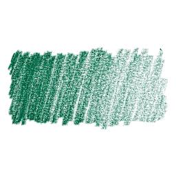 Faber-Castell Pitt Pastel Pencil - Hooker's Green swatch