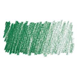 Faber-Castell Pitt Pastel Pencil - Pine Green swatch
