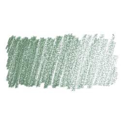 Faber-Castell Pitt Pastel Pencil - Earth Green swatch