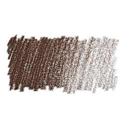 Faber-Castell Pitt Pastel Pencil - Walnut Brown swatch