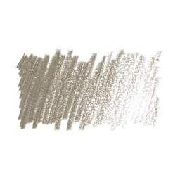 Cretacolor Fine Art Pastel Pencil - Green Gray swatch