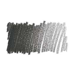 Caran d'Ache Pablo Colored Pencil - Ivory Black swatch