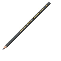 Caran d'Ache Pablo Colored Pencil - Slate Gray