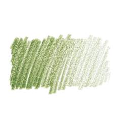 Caran d'Ache Pablo Colored Pencil - Olive  swatch