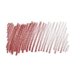Caran d'Ache Pablo Colored Pencil - Brown swatch