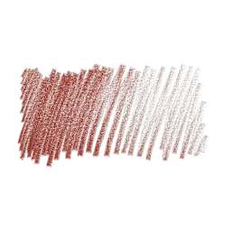 Caran d'Ache Pablo Colored Pencil - Bronze swatch