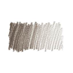 Caran d'Ache Pablo Colored Pencil - Cocoa swatch