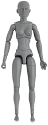Anatomical Model, Gray