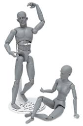 Art S. Buck Anatomical Models