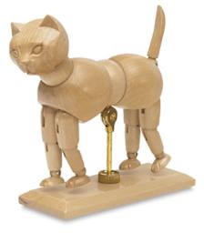 Cat Manikin