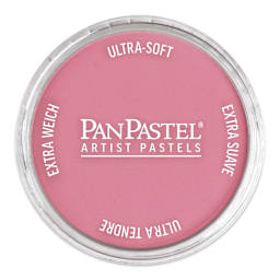 PanPastel Artist Painting Pastel - Permanent Red Light, 340.7