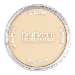 PanPastel Artists’ Painting Pastel - Orange Tint, 280.8