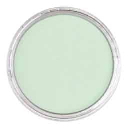 PanPastel Artists’ Painting Pastel - Permanent Green Tint, 640.8, lid off