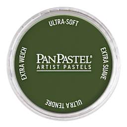 PanPastel Artists’ Painting Pastel - Chromium Oxide Green, 660.5, pan with lid on