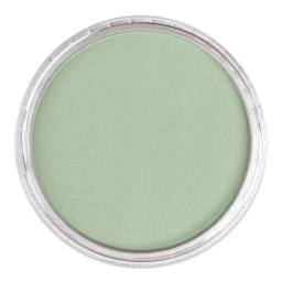 PanPastel Artists’ Painting Pastel - Chromium Oxide Green Tint, 660.8, lid off