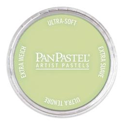 PanPastel Artist Painting Pastel - Yellow Green Tint, 690.8