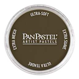 PanPastel Artists’ Painting Pastel - Raw Umber, 780.5
