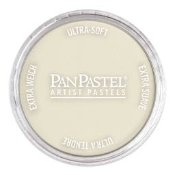 PanPastel Artists’ Painting Pastel - Raw Umber Tint, 780.8