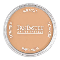 PanPastel Artist Painting Pastel - Burnt Sienna Light, 740.7, pan with lid on