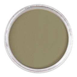 PanPastel Artist Painting Pastel - Raw Umber Light, 780.7, lid off