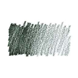 Caran d'Ache Pastel Pencil - Dark Phthalo Green swatch