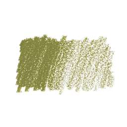 Caran d'Ache Pastel Pencil - Olive Brown swatch