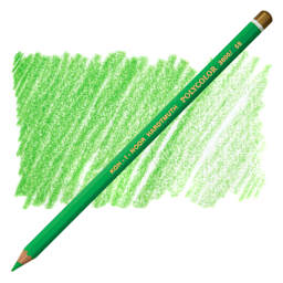 Koh-I-Noor Polycolor Dry Color Drawing Pencil - Light Green 58, swatch and pencil