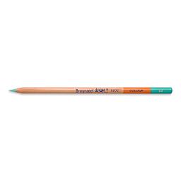 Bruynzeel Design Colored Pencil - Ice Green